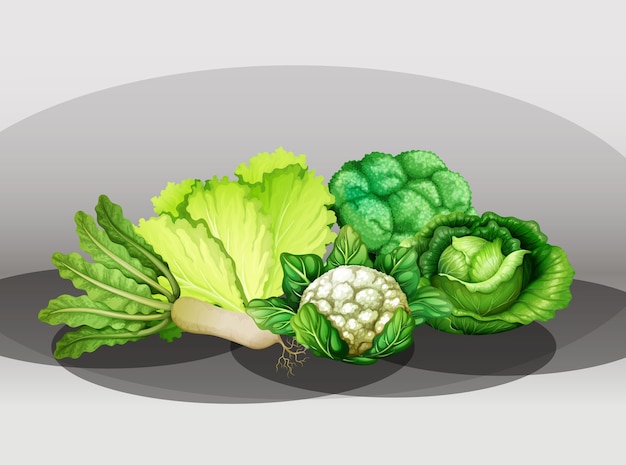 Free Vector many different vegetables in a group