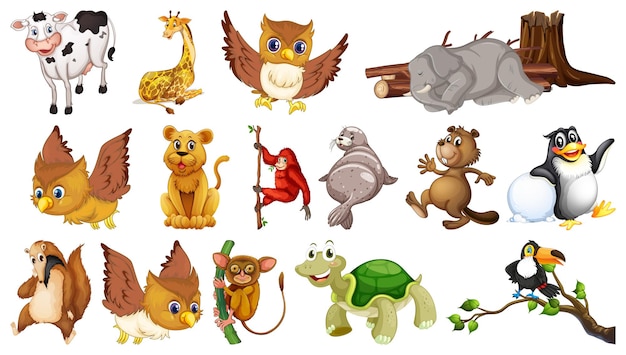 Many wild animals on white background