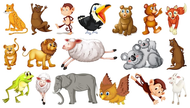 Many wild animals on white background