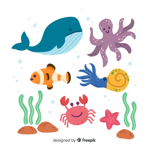 Marine life character collection