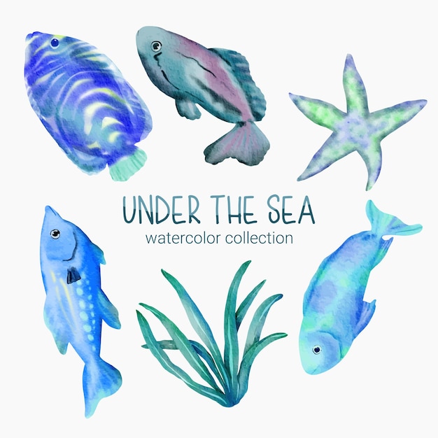 Free Vector marine life cute element animal life in under sea underwater animal creature starfish algae and fish