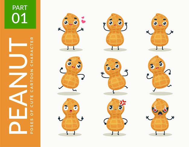 Free Vector mascot images of the peanut. set.