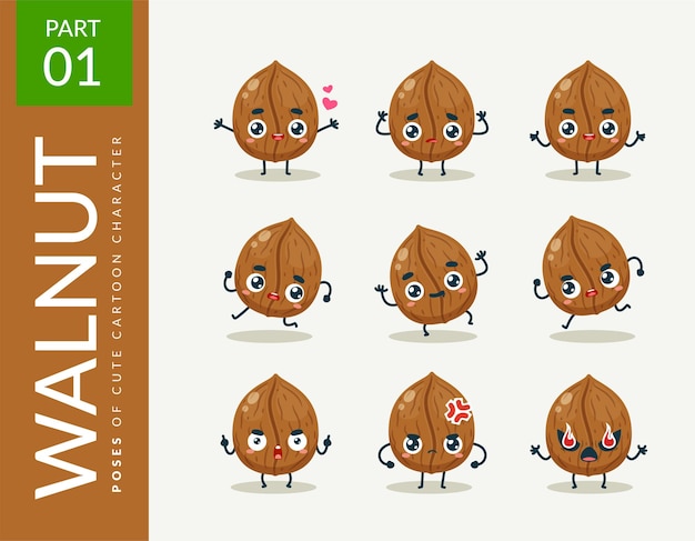 Mascot images of the Walnut. set.