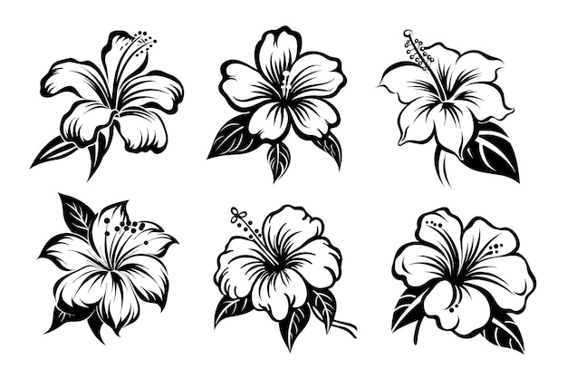 Free Vector mascot silhouette of a beautiful tropical flower collection