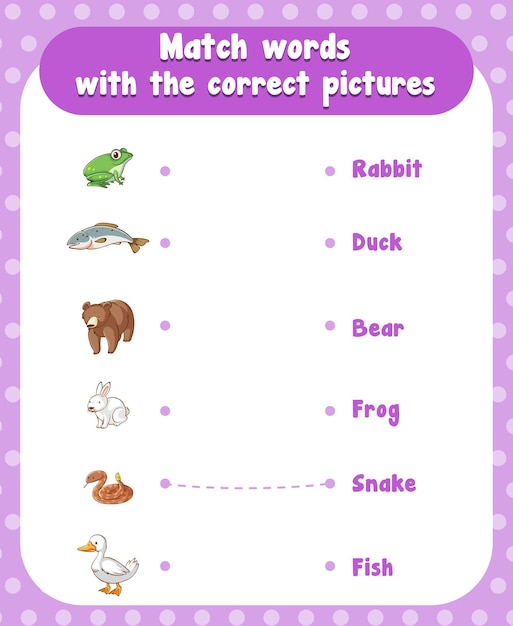 Match the words with the correct pictures