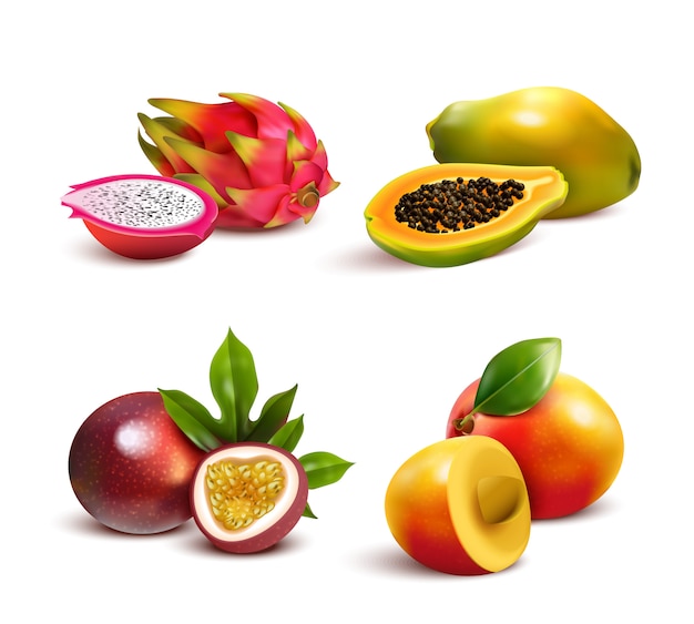 Free Vector mature tropical fruits set