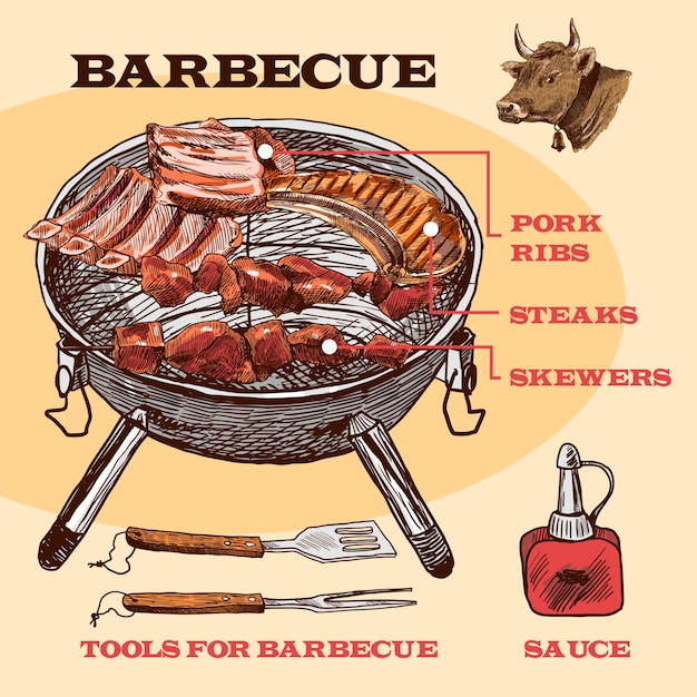 Free Vector meat bbq set sketch infographic with pork ribs and steaks vector illustration