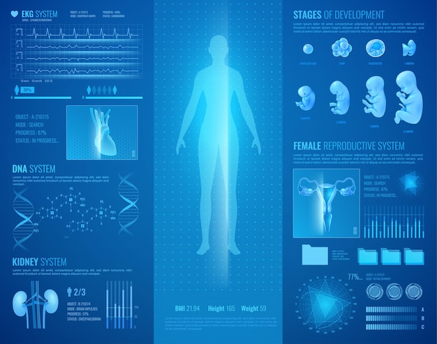 Medical hud interface with heart and kidney system realistic