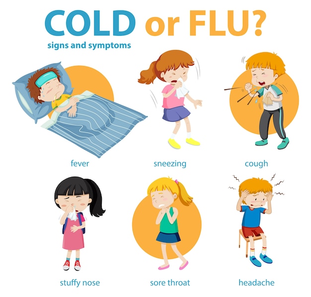 Free Vector medical infographic of cold or flu symptoms