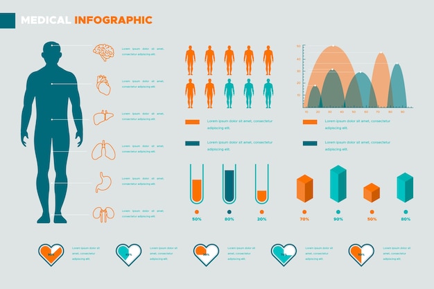 Free Vector medical infographic template with human body