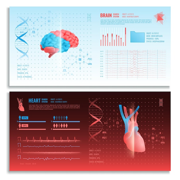 Free Vector medical interface horizontal banners with heart and brain realistic images search system and hud elements