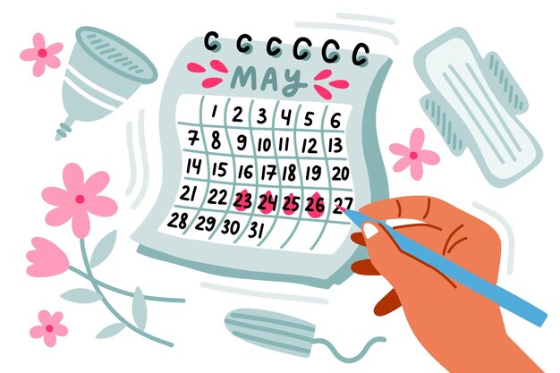 Menstrual calendar concept