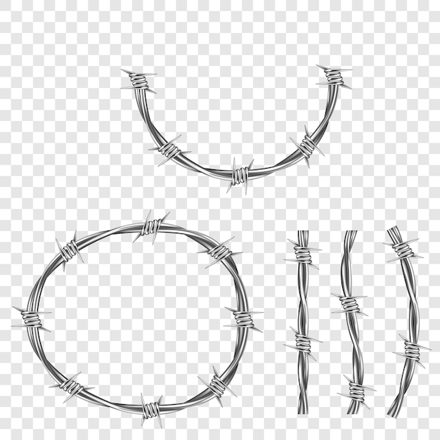 Free Vector metal steel barbed wire part with thorns or spikes