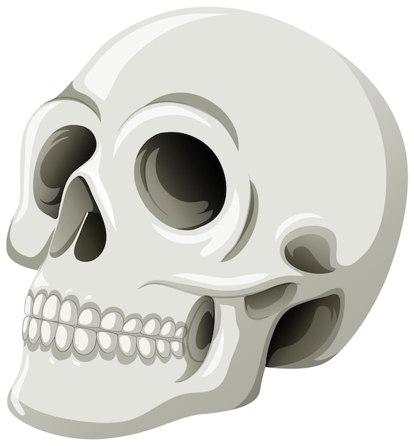 Free Vector mexican skull vector illustration