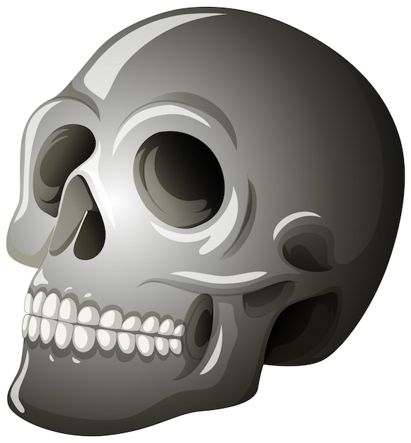 Free vector mexican skull vector illustration