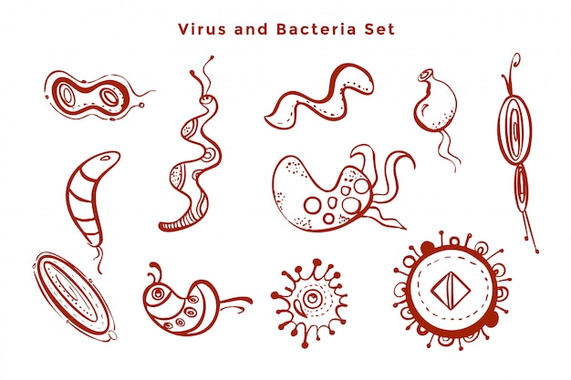 Microscopic virus and bacteria germs set design