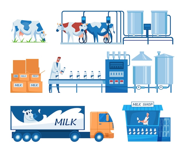 Free vector milk production steps set. cartoon illustration