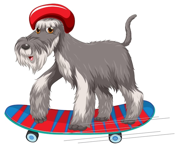 Free Vector miniature schnauzer dog wears helmet standing on skateboard