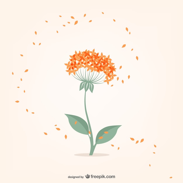 Free Vector minimal flower with orange small petals