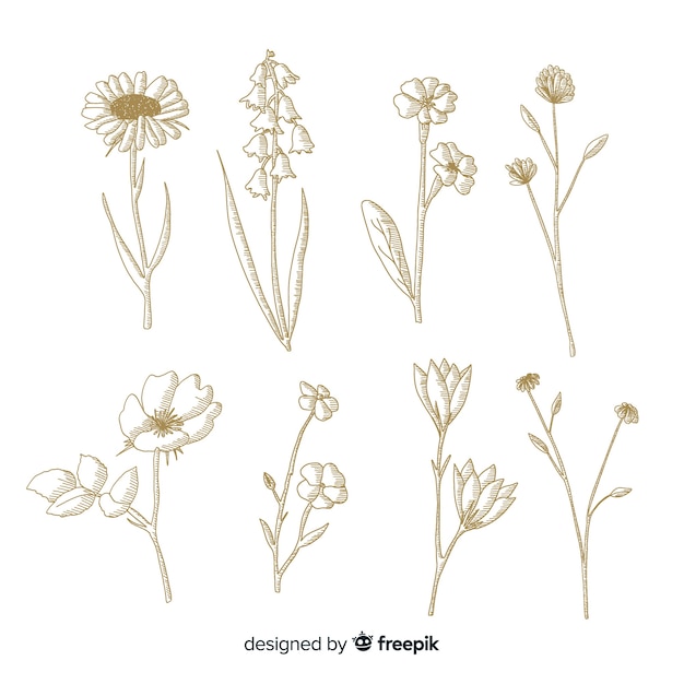 Free Vector minimalist design for botanical flowers