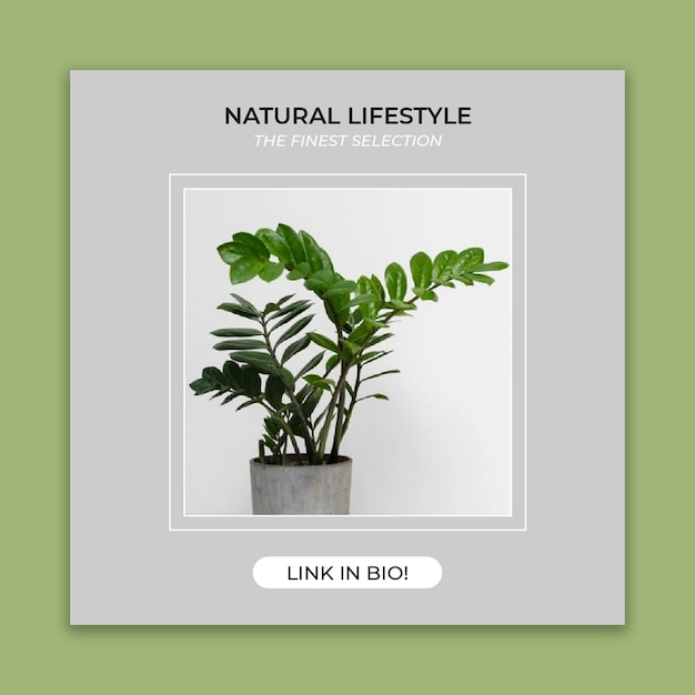 Free Vector minimalist plants home facebook post