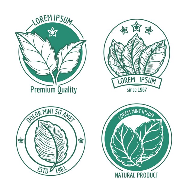 mint leaf logo  or menthol spearmint. Healthy fresh herb, peppermint organic badge