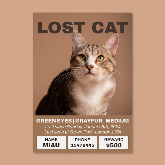 Free Vector missing cat poster template design