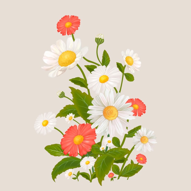 Free Vector mixed daisy flowers