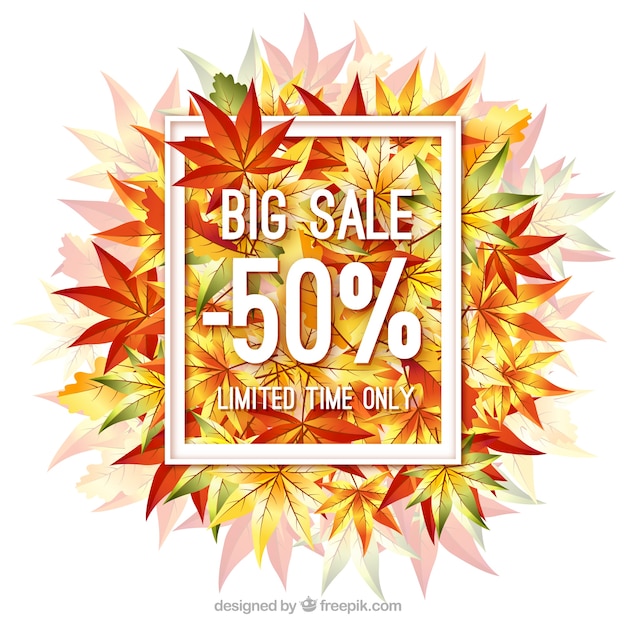 Modern autumn sale with leaves and frame