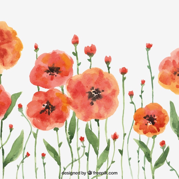 Free Vector modern background with watercolor flowers