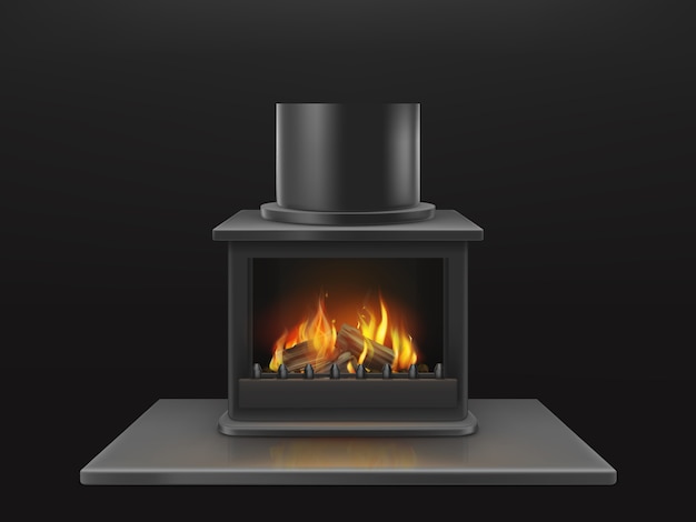 Modern fireplace with burning wooden logs, flame inside metallic firebox 