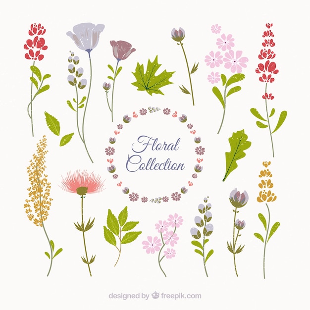 Free Vector modern floral elements with flat design