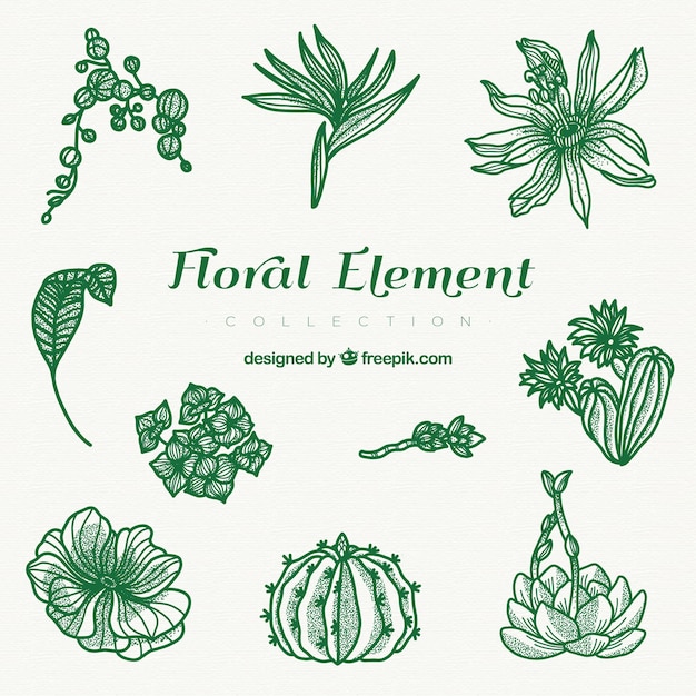 Modern floral elements with hand drawn style