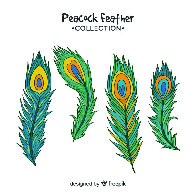 Modern hand drawn peacock feather collection