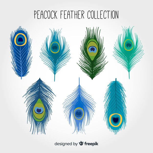 Modern hand drawn peacock feather collection