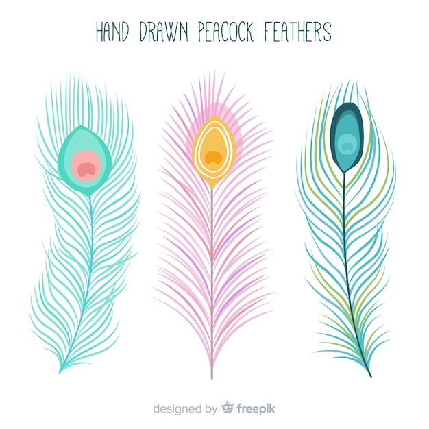 Free Vector modern hand drawn peacock feather collection