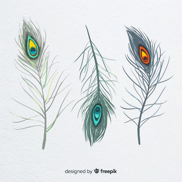 Free Vector modern hand drawn peacock feather collection