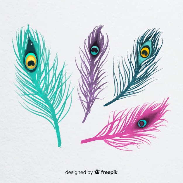 Free Vector modern hand drawn peacock feather collection