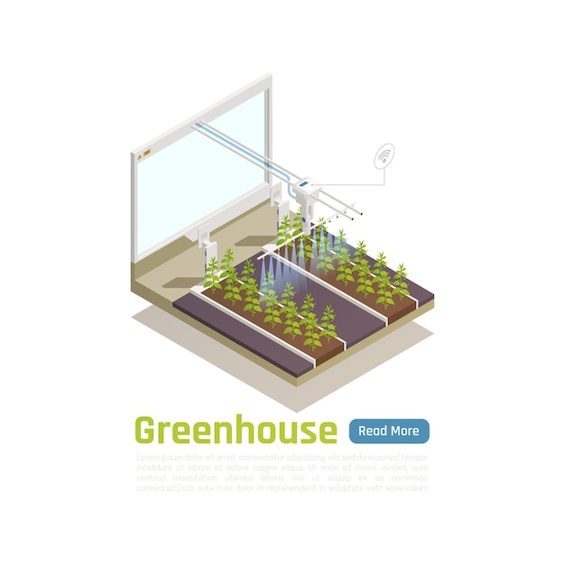 Modern hydroponic greenhouse gardening isometric illustration