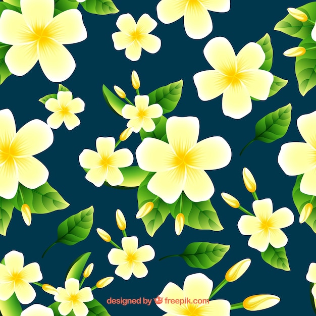 Modern jasmine background