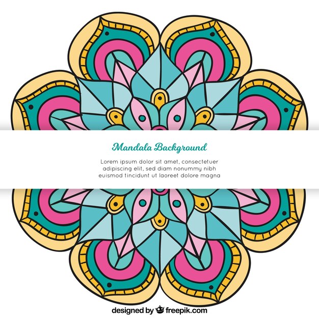 Modern mandala background with colorful style