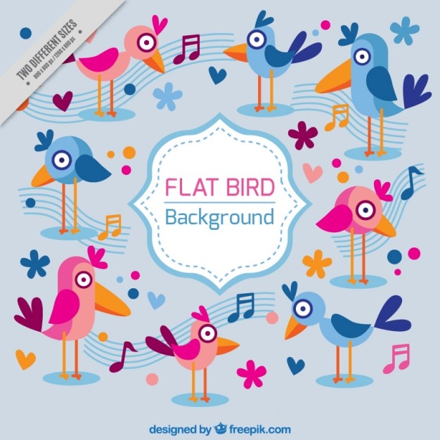 Free Vector modern nice birds background in flat design 