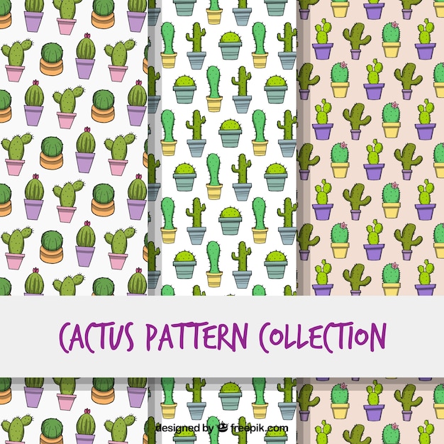 Modern pack of colorful cactus patterns