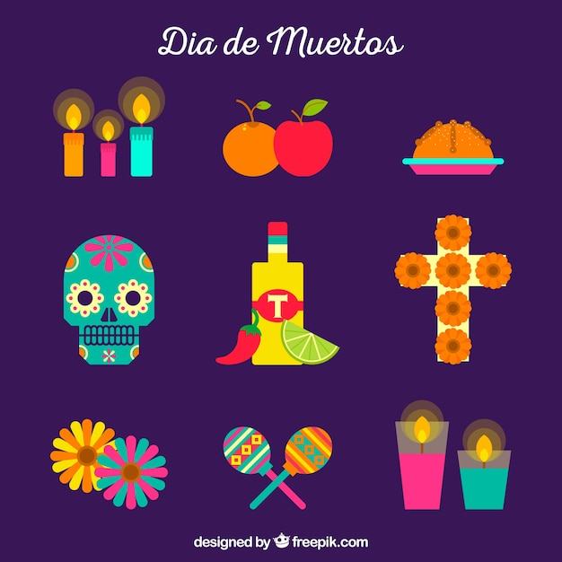 Free Vector modern pack of colorful mexican elements