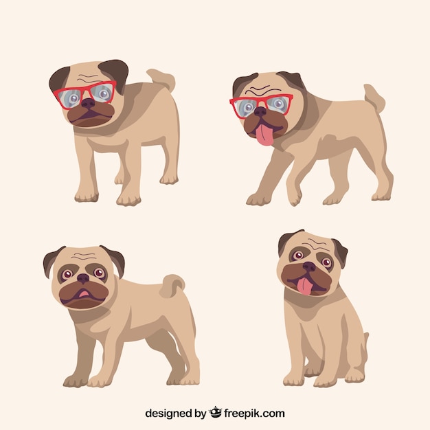 Free Vector modern pack of cool pugs