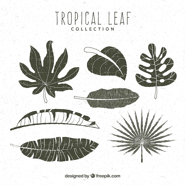 Free vector modern set of hand drawn tropical leaves