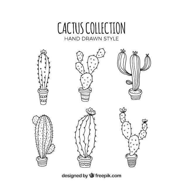 Free Vector modern set of sketchy cactus