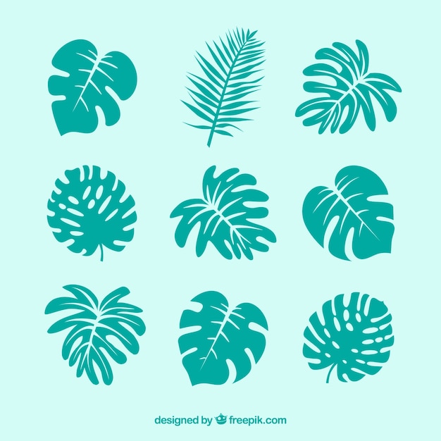 Free Vector modern set of tropical leaves with flat design