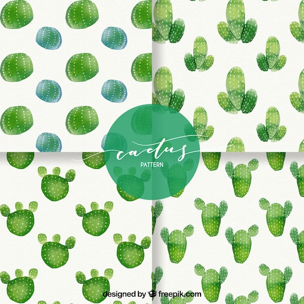 Modern watercolor cactus patterns