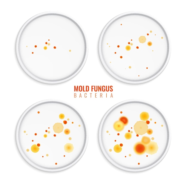 Free Vector mold fungus bacteria colonies set of four realistic s with round frames colourful dots and text  illustration